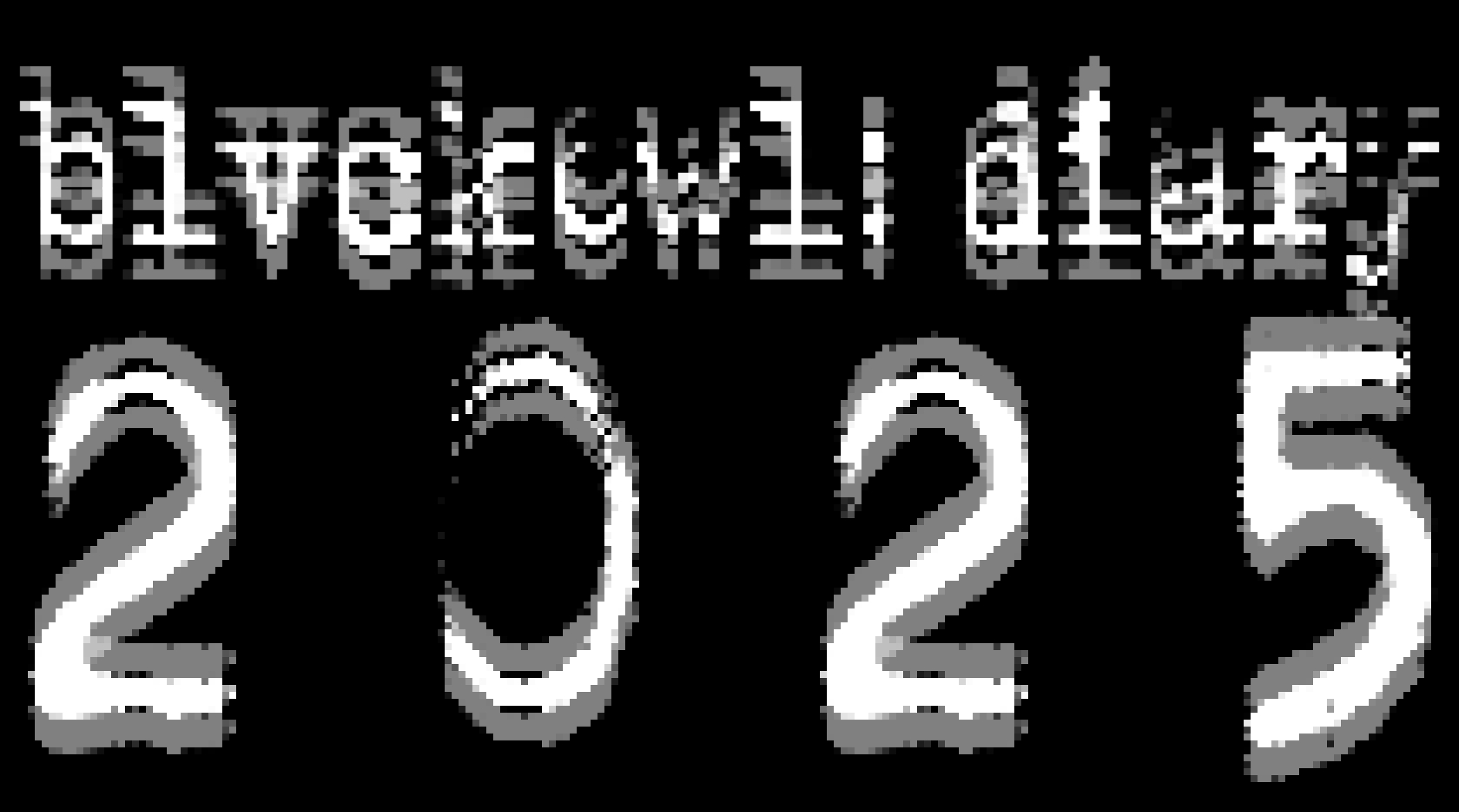 diary 2025